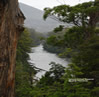 Tahune Forest Reserve